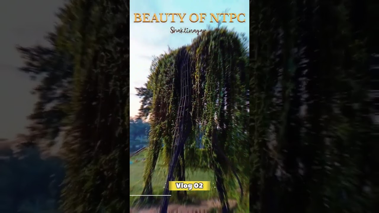 Beauty of NTPC / Shaktinagar/ dasjivlogs #relaxing  / #minivlog #shorts #beauty #nature