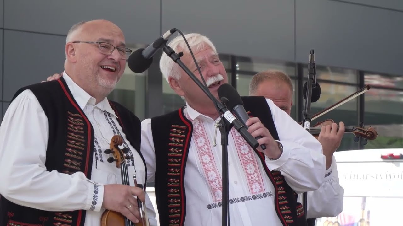 Druženie družení