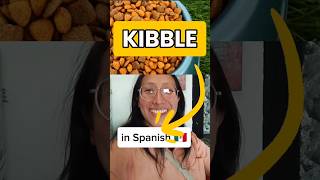 KIBBLE IN SPANISH @latruespanish  #learnspanish #dailyspanish #foodinspanish #languagelearning
