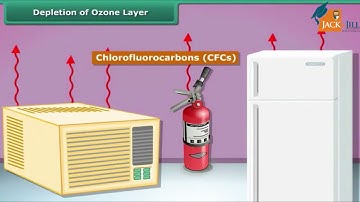 POLLUTION OF AIR AND WATER || PART 1 || SCIENCE || CLASS 8 || ANIMATED VIDEO