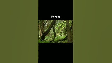 Places where to hide a dead body