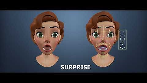 FACE EXPRESSION 3D MODEL RIGGED
