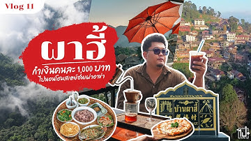 ดอยผาฮี้ เชียงราย | กำเงินคนละ 1,000 ไปนอนโฮมสเตย์ชนเผ่าอาข่า จิบกาแฟชมวิวหลักล้าน  | Vlog 11