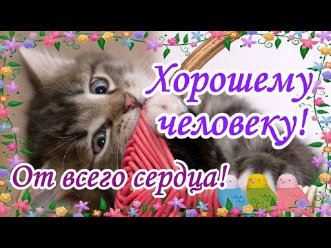 Добрые Пожелания Хорошему Человеку! Позитивное музыкальное пожелание Чудесному человеку!
