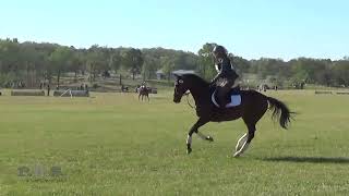 Donna Struke & Singing in the WindTexas Rose Horse Trials March 2026
