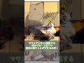 【アークナイツ】1分で新スタートダッシュスカウト星６オペレーター紹介！マウンテン編 #shorts