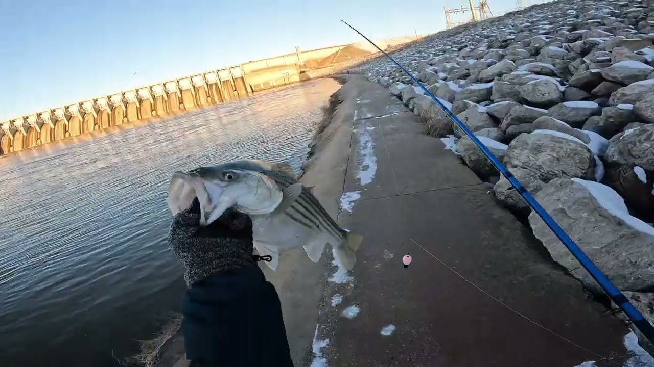Pesca de Striper con flotador 