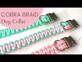 Cobra braid dog collar  full stepbystep tutorial
