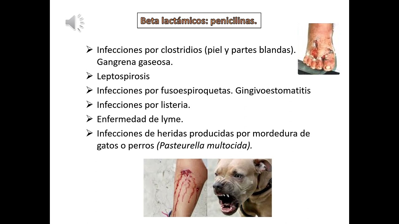 Antibióticos (ATB) - Clínica Médica Centenario - UNR FCM
