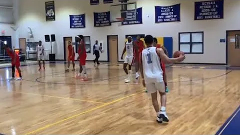 Robert Colon TBL Mid Season Highlights