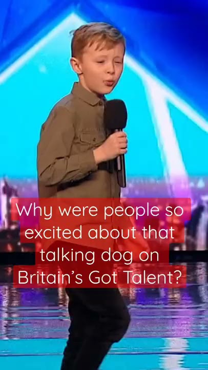 The most SAVAGE audition EVER! | Britain's Got Talent | #shorts