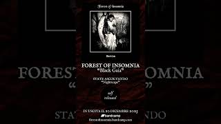 FOREST OF INSOMNIA 