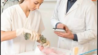 What is Simulation Education Solutions for Nursing (SESN)?
