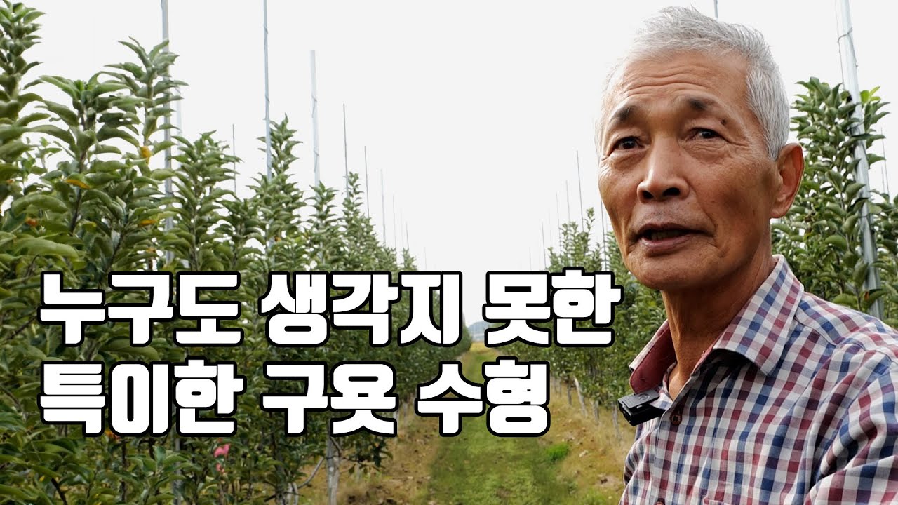 수형을 따라 가지 말고 내가 하고 싶은대로 모양을 만들어라