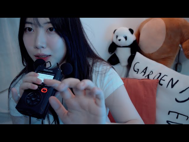 ASMR 입소리와 시각적 트리거들 (핸드무브먼트,브러슁)