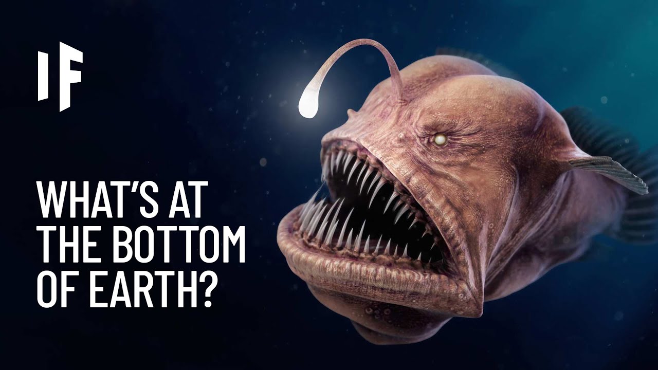 What If You Explored the Deepest Points on Earth?