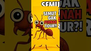 SEMUT ternyata gak pernah tidur! #faktamenarik #creativecreation #faktadunia #semut #youtubeshorts