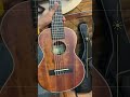 Egmond Ukulele #shortvideo #ukulele #guitar #shorts