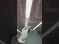 Отзыв клиента| Натяжные потолки | Натяжной потолок со световыми линиями| Воронеж