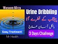 What is dribbling urine treatment in males  females  hindi urdu