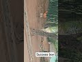 success boy cricket 20 tournament #shortvideo #cricket #funny #ai