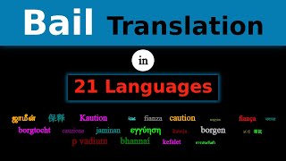 BAIL Translation in 21 Languages