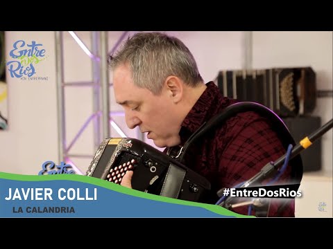 JAVIER COLLI "LA CALANDRIA"