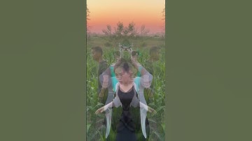 Bình phun thuốc sâu tự động Tháp Xanh, Máy phun thuốc sâu nông nghiệp