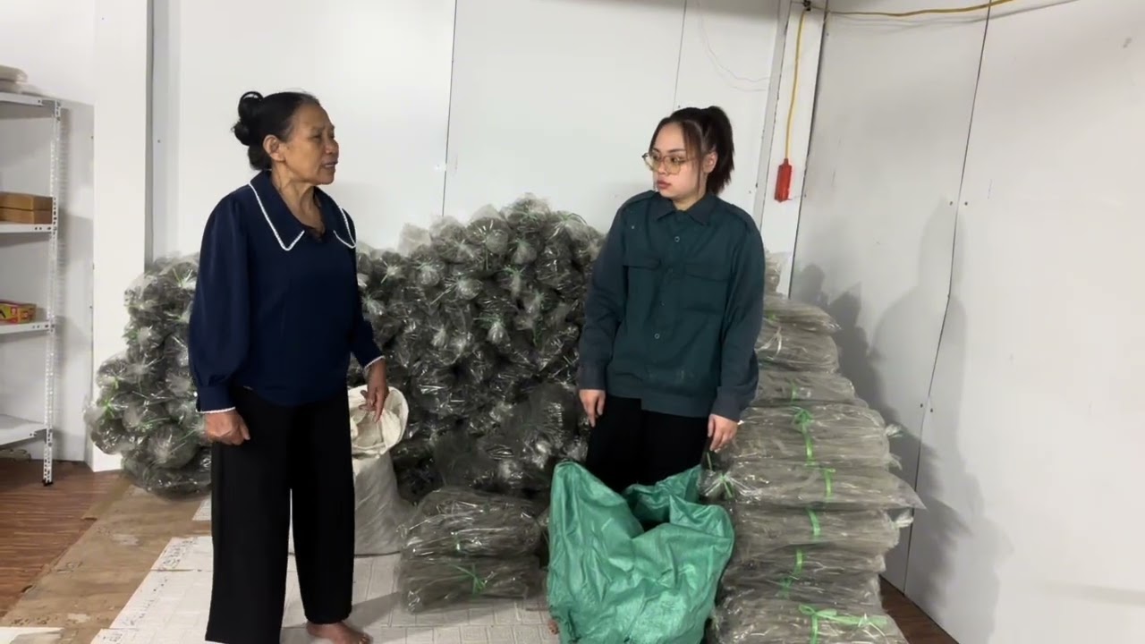 Căng Mu hải Tính Làm Liều Rồi 