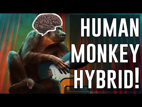 Scientists engineer larger monkey brains! - YouTube