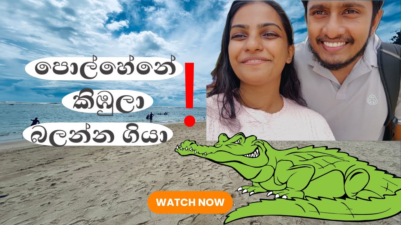 පොල්හේන බීච් එකේ කිඹුල් ප්‍රශ්නේ ඇත්තද? (New Update) | Crocodiles in POLHENA beach? 🐊 😱 #trending