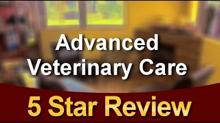 Advanced Veterinary Care Blaine Wonderful  5 Star Review by Stacey N.