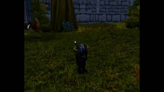 (HD) World of Warcraft: Epic companion Mini Thor.