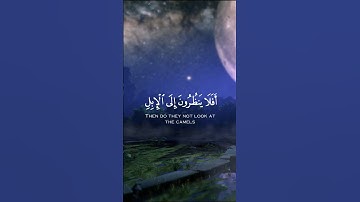 ( أفلا ينظرون إلى الإبل كيف خلقت ) للقارئ عبدالرحمن بن مسعد سورة الغاشية #quran #ارح_قلبك
