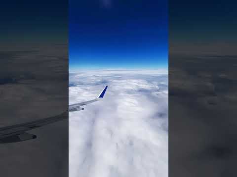 Flight over clouds #youtubeshorts #shorts #clouds