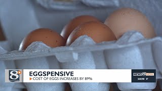 “Eggspensive”: The cost of eggs increases by 89%