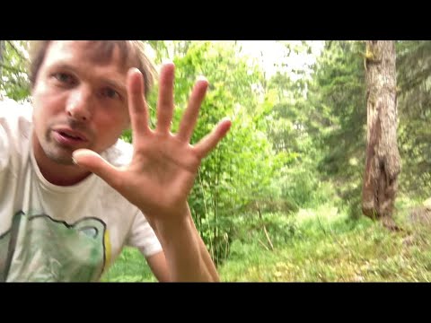 How to touch the moss