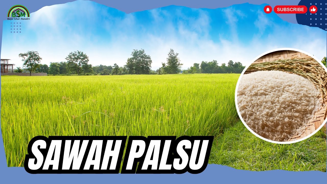 CARA MEMBUAT SAWAH PALSU