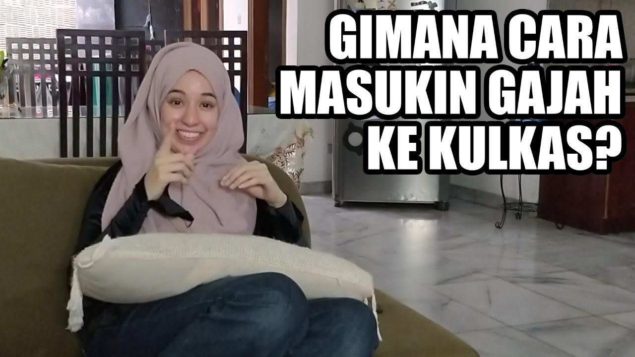 Gimana Masukin Gajah Ke Kulkas Youtube