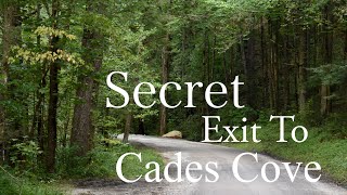 The Secret Exit to Cades Cove No One Talks About!