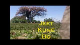 jeet kune do training screenshot 5