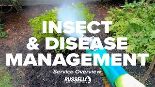 Insect & Disease Management Service Overview I Russell Tree Experts