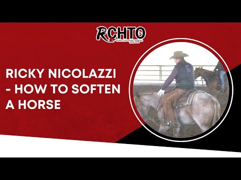 Ricky Nicolazzi -  How To Soften A Horse