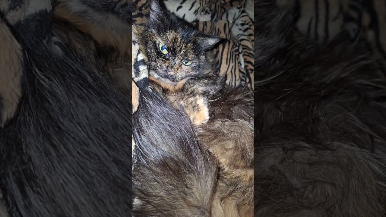 Ну шо ви там? 🤗😉👍👌 