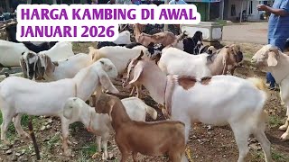 HARGA KAMBING DIAWAL JANUARI 2026