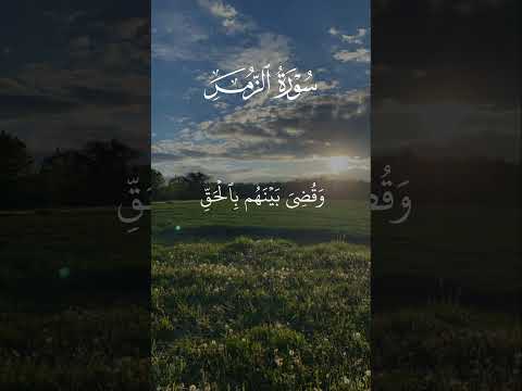 واشرقت الأرض بنور ربها سورة الزمر القارئ الشيخ علي جابر رحمه الله