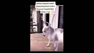 Keşke Hiç Hayatima Girmesydi Dediginiz Varmi Resimi