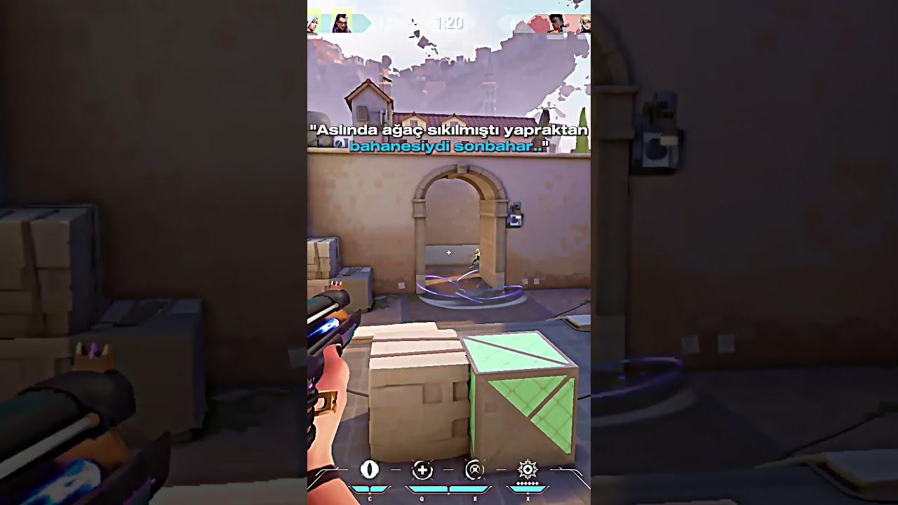 Bahanesiydi sonbahar... 