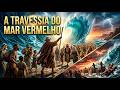 🌊 A Travessia do Mar Vermelho