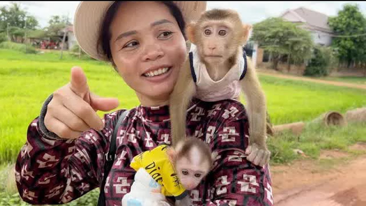 Sweetie Katy Feel So Nervous To Hangout Far From Her Home